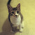 :iconcatswilltakeover: