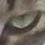 :iconcattyfox99: