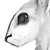 :iconcattysup: