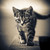 :iconcatwilly: