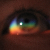 :iconcatwolfcatwolf: