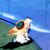 :iconcatwolfwitchkyobi: