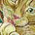 CatwomanJEDI :iconcatwomanjedi: