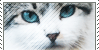 :iconcatworld: