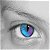 :iconcatz77: