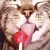 :iconcatzillaisdaone: