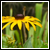 :iconcaughtbysurprise: