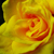 :iconcause-for-caution: