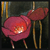 :iconcaustic-harpy: