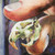 :iconcaustic-substrate: