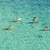 :iconcavalli814: