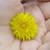 :iconcay-lynn: