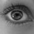 :iconcaylee-alzner: