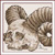 :iconcaylith: