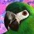 :iconcaymia: