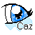:iconcazzashi: