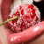 :iconcbdesings: