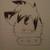 :iconcbkowhitewolf: