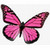 :iconcc-pompom: