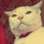 :iconcccx3: