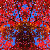 :iconccontinuum: