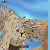 :iconcctech220: