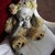 :iconcczx2bx5:
