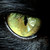 :iconcd777sp: