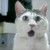 :iconcdhyunsu: