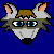 :iconcdraccoon: