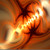:iconcdreaiton: