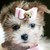 :iconcdrury2:
