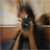 :iconce-ehecatl: