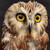 ceadair-crann :iconceadair-crann: