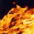 :iconcebus: