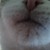 :iconcecileclare: