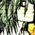 :iconceciliacp: