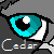 :iconcedarpelt: