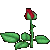 :iconcedricksfiremoon: