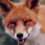 :iconceh140: