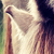 :iconceileur: