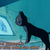 :iconceiling-cat-faves: