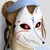 :iconceilius:
