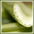 :iconceleryjacket: