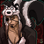 :iconcelestial-illusions:
