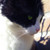 :iconcelestial-poet: