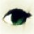 :iconcelestialight:
