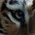 :iconcelia246: