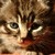 celine-u :iconceline-u: