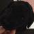 :iconceline1781: